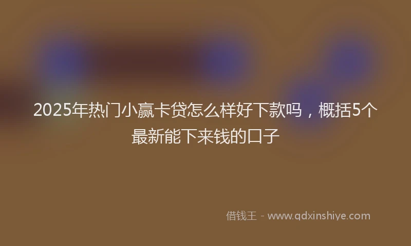 2025年热门小赢卡贷怎么样好下款吗，概括5个最新能下来钱的口子