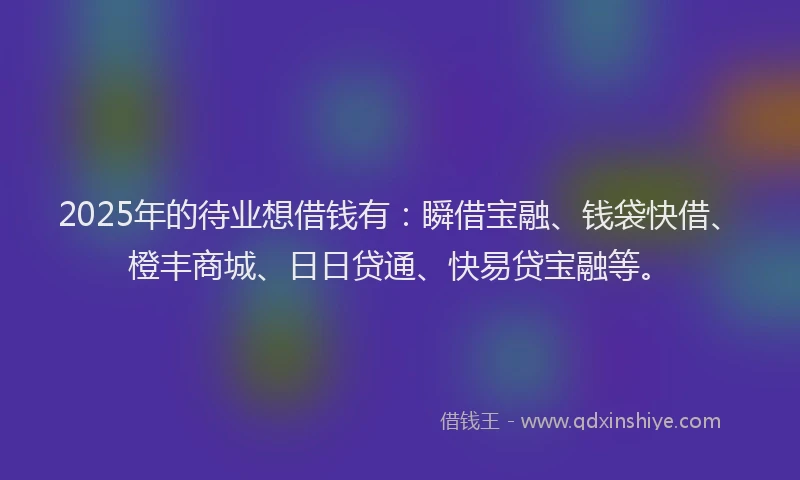 2025年的待业想借钱有：瞬借宝融、钱袋快借、橙丰商城、日日贷通、快易贷宝融等。