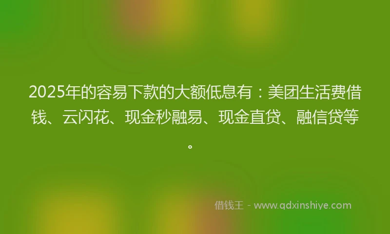 2025年的容易下款的大额低息有：美团生活费借钱、云闪花、现金秒融易、现金直贷、融信贷等。