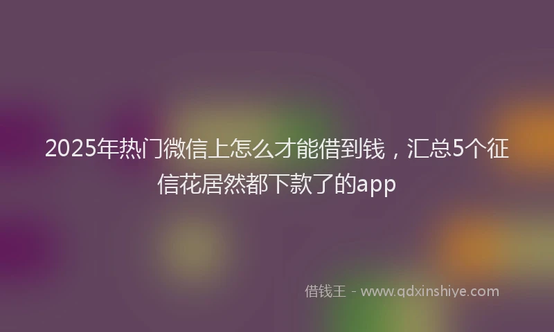 2025年热门微信上怎么才能借到钱，汇总5个征信花居然都下款了的app