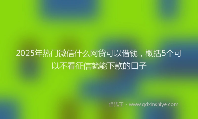 2025年热门微信什么网贷可以借钱，概括5个可以不看征信就能下款的口子