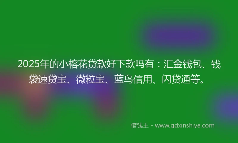 2025年的小榕花贷款好下款吗有：汇金钱包、钱袋速贷宝、微粒宝、蓝鸟信用、闪贷通等。