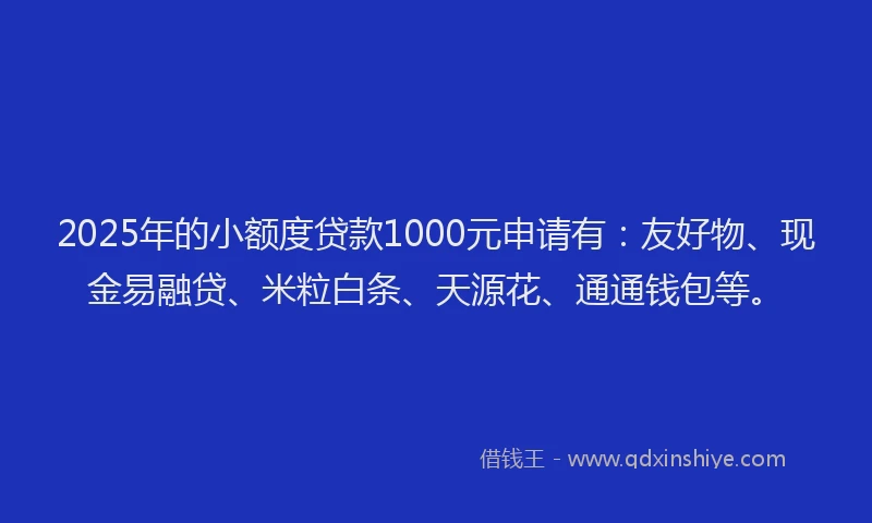 2025年的小额度贷款1000元申请有：友好物、现金易融贷、米粒白条、天源花、通通钱包等。