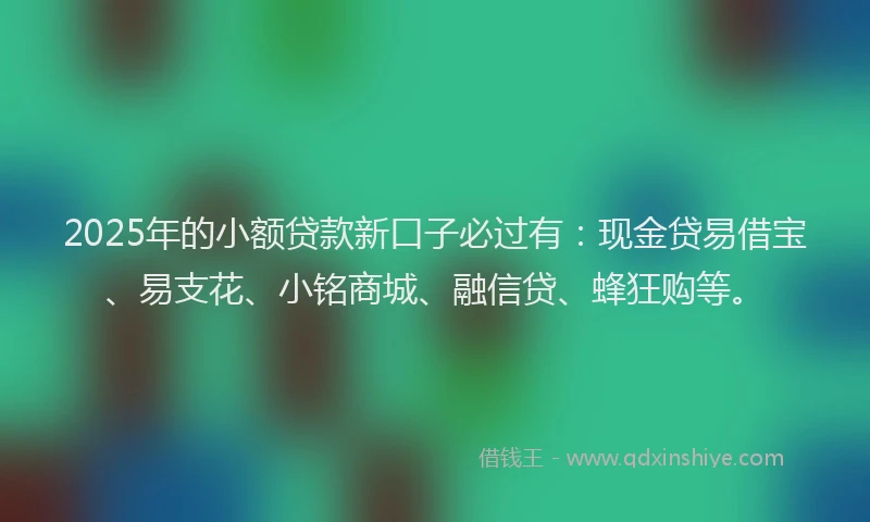 2025年的小额贷款新口子必过有：现金贷易借宝、易支花、小铭商城、融信贷、蜂狂购等。
