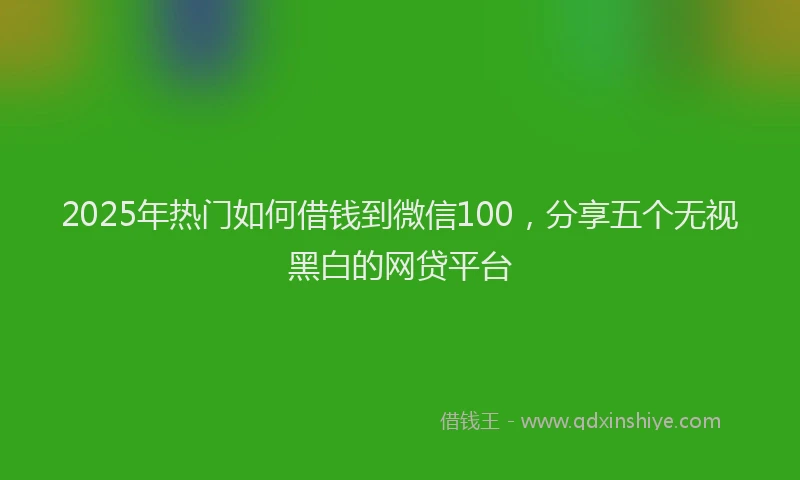2025年热门如何借钱到微信100，分享五个无视黑白的网贷平台