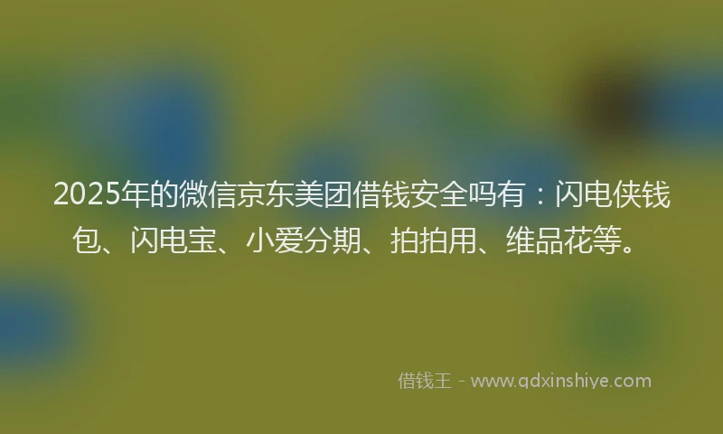 2025年的微信京东美团借钱安全吗有：闪电侠钱包、闪电宝、小爱分期、拍拍用、维品花等。