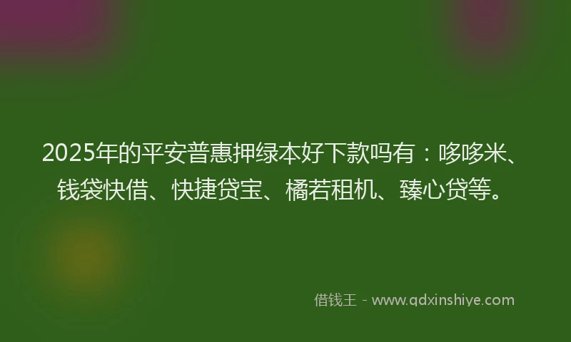 2025年的平安普惠押绿本好下款吗有：哆哆米、钱袋快借、快捷贷宝、橘若租机、臻心贷等。