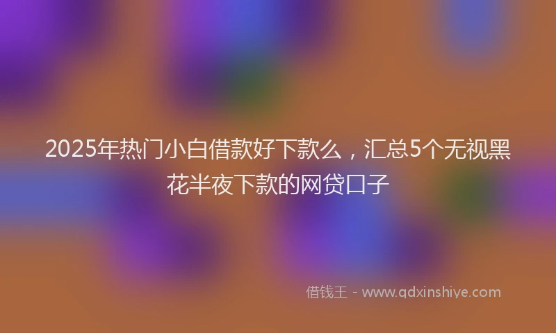 2025年热门小白借款好下款么，汇总5个无视黑花半夜下款的网贷口子