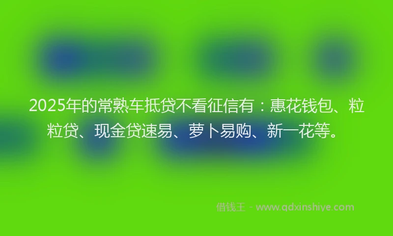 2025年的常熟车抵贷不看征信有：惠花钱包、粒粒贷、现金贷速易、萝卜易购、新一花等。
