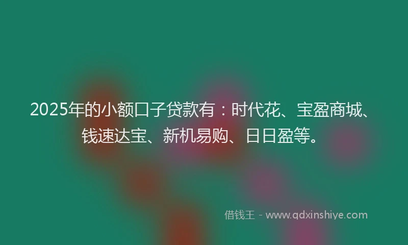 2025年的小额口子贷款有：时代花、宝盈商城、钱速达宝、新机易购、日日盈等。