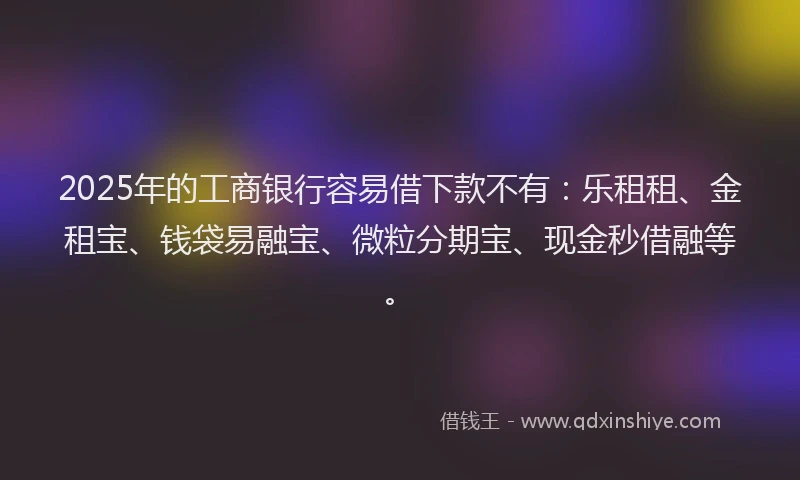 2025年的工商银行容易借下款不有：乐租租、金租宝、钱袋易融宝、微粒分期宝、现金秒借融等。