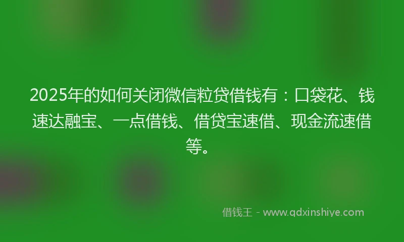 2025年的如何关闭微信粒贷借钱有：口袋花、钱速达融宝、一点借钱、借贷宝速借、现金流速借等。