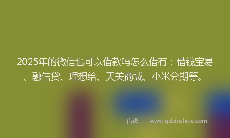 2025年的微信也可以借款吗怎么借有：借钱宝易、融信贷、理想给、天美商城、小米分期等。