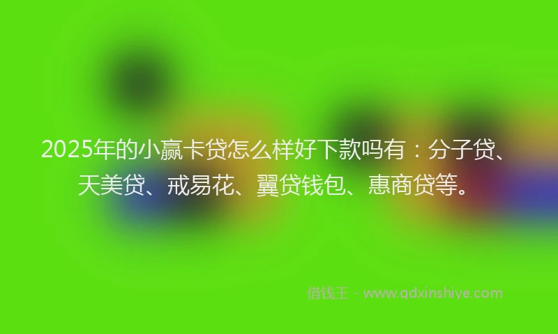 2025年的小赢卡贷怎么样好下款吗有：分子贷、天美贷、戒易花、翼贷钱包、惠商贷等。