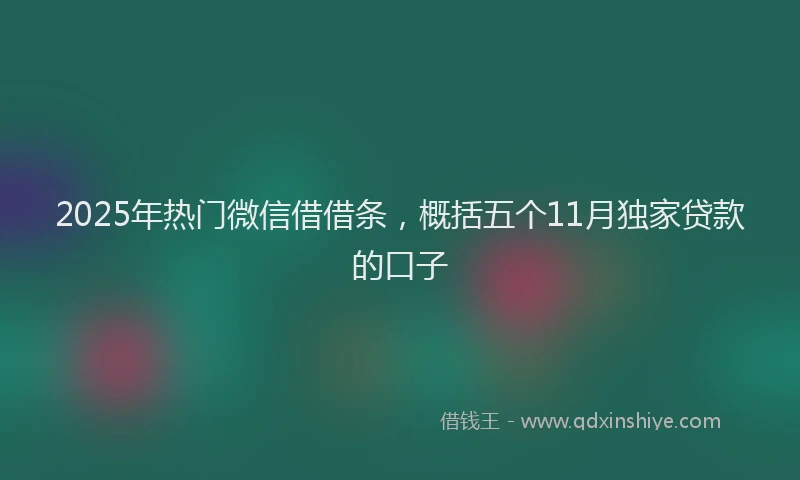 2025年热门微信借借条，概括五个11月独家贷款的口子