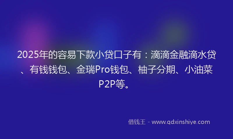 2025年的容易下款小贷口子有：滴滴金融滴水贷、有钱钱包、金瑞Pro钱包、柚子分期、小油菜P2P等。