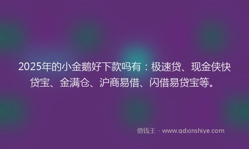 2025年的小金鹅好下款吗有：极速贷、现金侠快贷宝、金满仓、沪商易借、闪借易贷宝等。