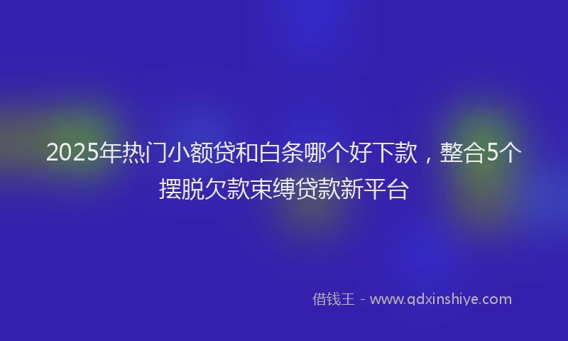 2025年热门小额贷和白条哪个好下款，整合5个摆脱欠款束缚贷款新平台