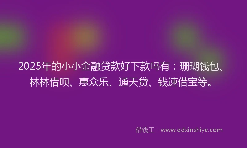 2025年的小小金融贷款好下款吗有：珊瑚钱包、林林借呗、惠众乐、通天贷、钱速借宝等。