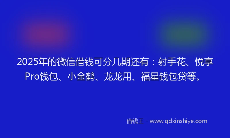 2025年的微信借钱可分几期还有：射手花、悦享Pro钱包、小金鹤、龙龙用、福星钱包贷等。