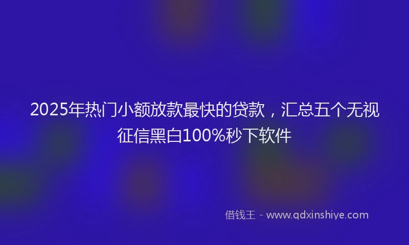 2025年热门小额放款最快的贷款，汇总五个无视征信黑白100%秒下软件