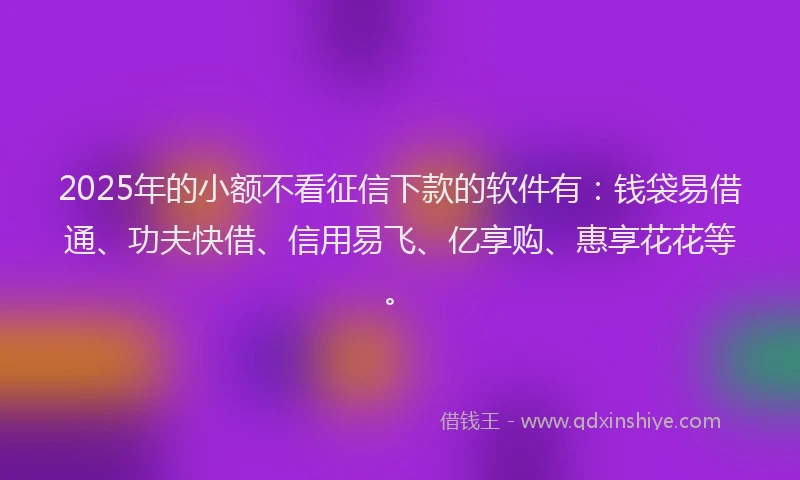 2025年的小额不看征信下款的软件有：钱袋易借通、功夫快借、信用易飞、亿享购、惠享花花等。