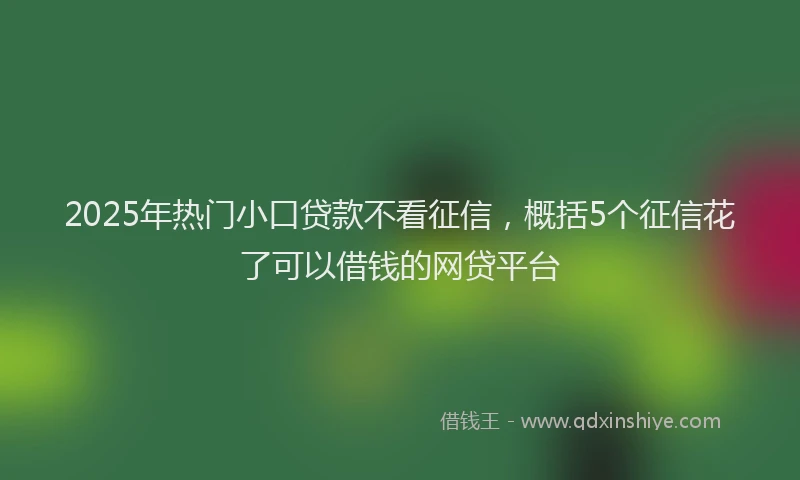 2025年热门小口贷款不看征信，概括5个征信花了可以借钱的网贷平台