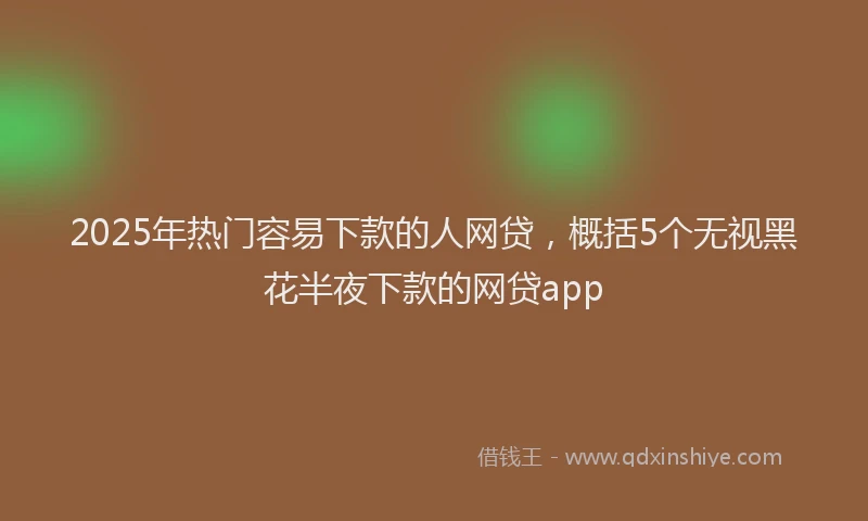 2025年热门容易下款的人网贷，概括5个无视黑花半夜下款的网贷app