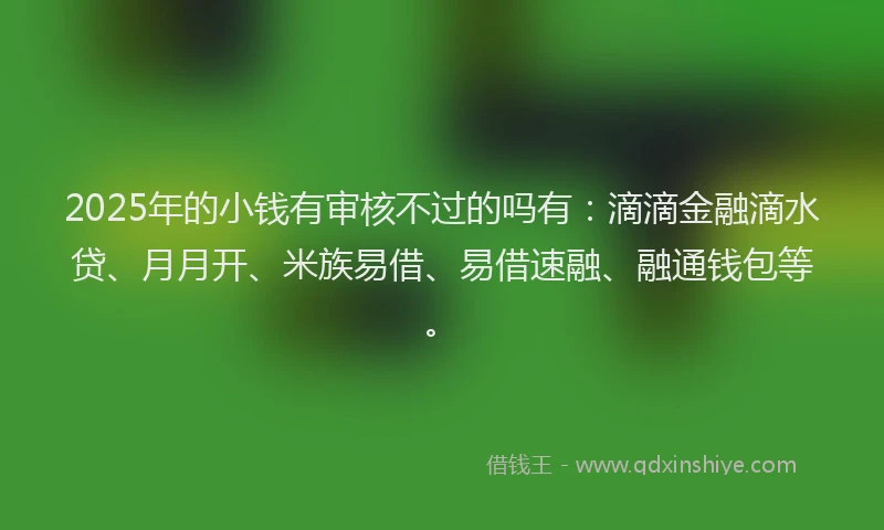 2025年的小钱有审核不过的吗有：滴滴金融滴水贷、月月开、米族易借、易借速融、融通钱包等。