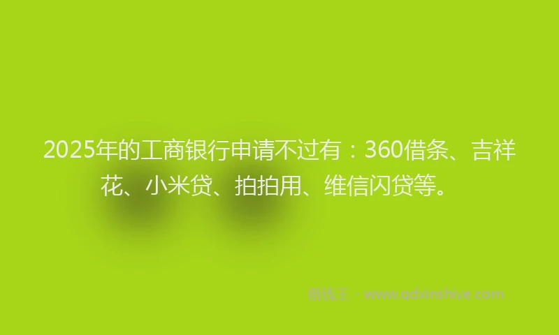 2025年的工商银行申请不过有：360借条、吉祥花、小米贷、拍拍用、维信闪贷等。
