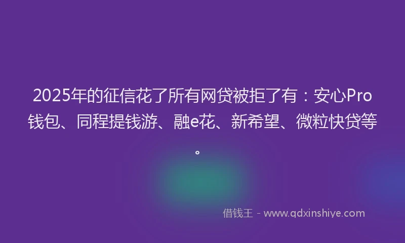 2025年的征信花了所有网贷被拒了有：安心Pro钱包、同程提钱游、融e花、新希望、微粒快贷等。