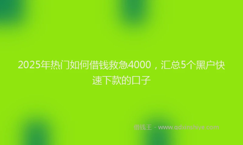 2025年热门如何借钱救急4000，汇总5个黑户快速下款的口子