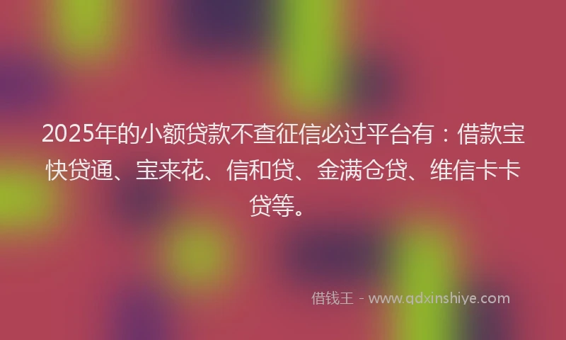 2025年的小额贷款不查征信必过平台有：借款宝快贷通、宝来花、信和贷、金满仓贷、维信卡卡贷等。