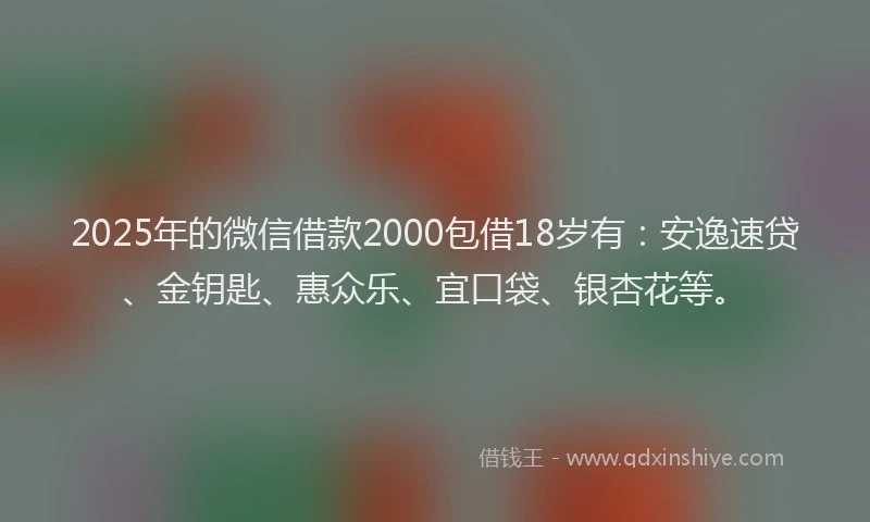 2025年的微信借款2000包借18岁有：安逸速贷、金钥匙、惠众乐、宜口袋、银杏花等。