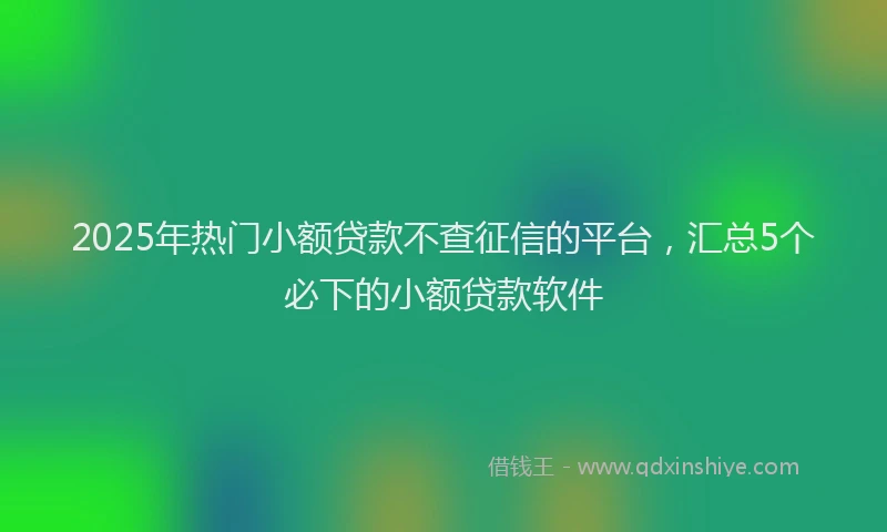 2025年热门小额贷款不查征信的平台，汇总5个必下的小额贷款软件