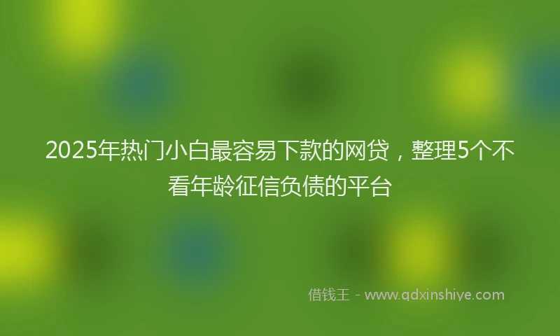2025年热门小白最容易下款的网贷，整理5个不看年龄征信负债的平台