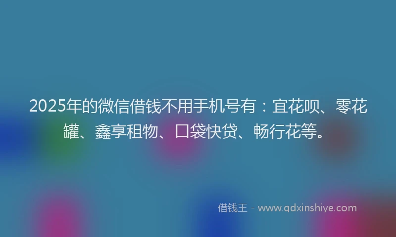 2025年的微信借钱不用手机号有：宜花呗、零花罐、鑫享租物、口袋快贷、畅行花等。