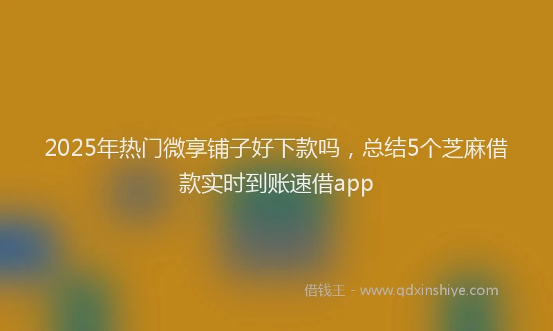 2025年热门微享铺子好下款吗，总结5个芝麻借款实时到账速借app