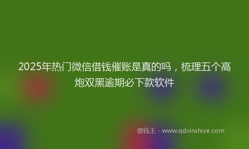 2025年热门微信借钱催账是真的吗，梳理五个高炮双黑逾期必下款软件