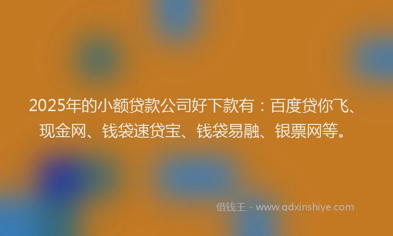 2025年的小额贷款公司好下款有：百度贷你飞、现金网、钱袋速贷宝、钱袋易融、银票网等。