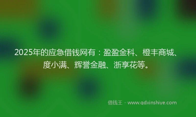 2025年的应急借钱网有：盈盈金科、橙丰商城、度小满、辉誉金融、浙享花等。