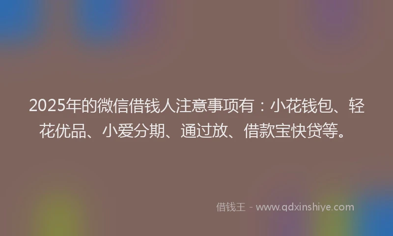 2025年的微信借钱人注意事项有：小花钱包、轻花优品、小爱分期、通过放、借款宝快贷等。