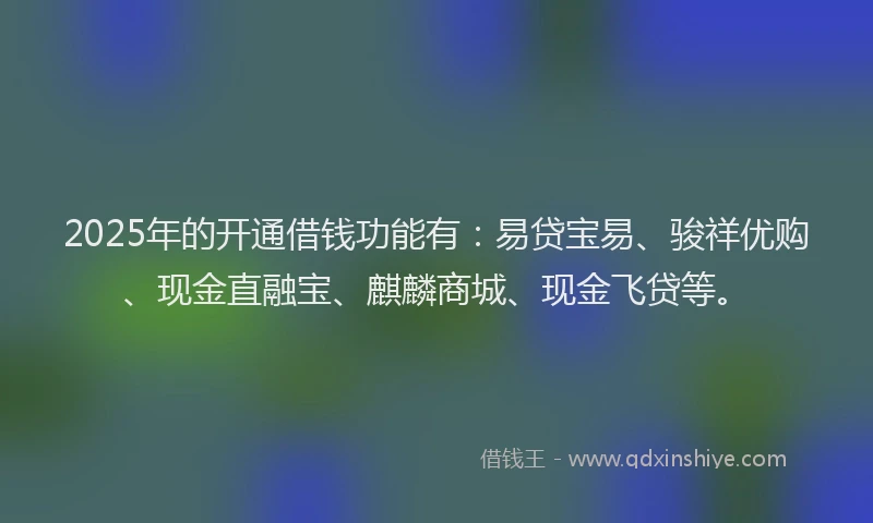 2025年的开通借钱功能有：易贷宝易、骏祥优购、现金直融宝、麒麟商城、现金飞贷等。