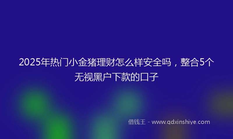 2025年热门小金猪理财怎么样安全吗，整合5个无视黑户下款的口子