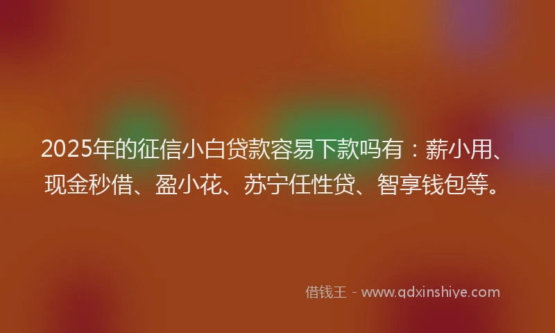 2025年的征信小白贷款容易下款吗有：薪小用、现金秒借、盈小花、苏宁任性贷、智享钱包等。