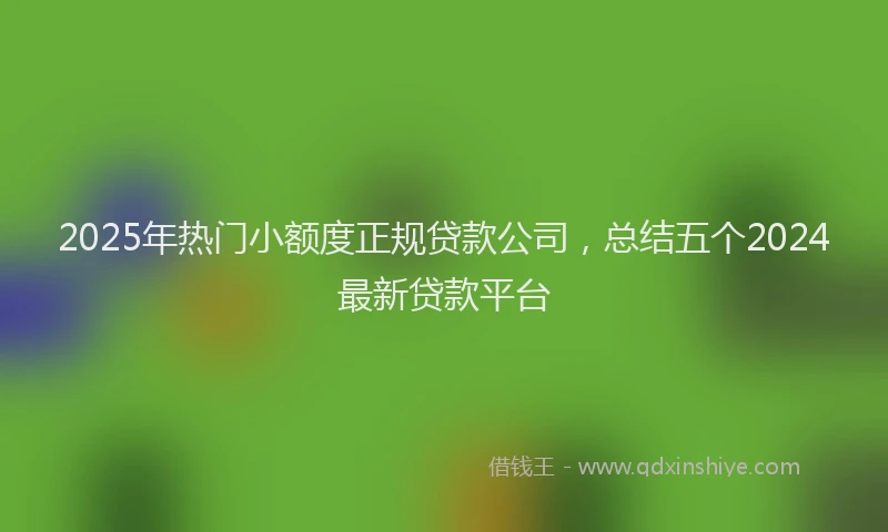 2025年热门小额度正规贷款公司，总结五个2024最新贷款平台