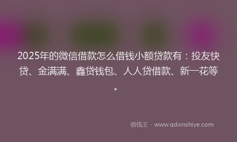 2025年的微信借款怎么借钱小额贷款有：投友快贷、金满满、鑫贷钱包、人人贷借款、新一花等。