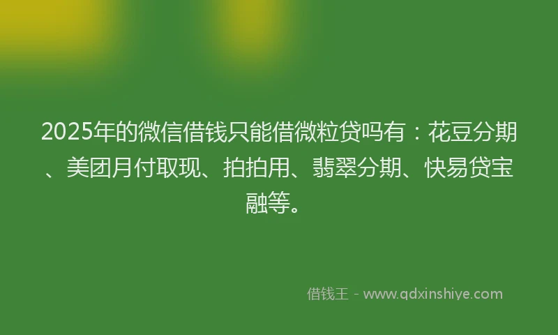 2025年的微信借钱只能借微粒贷吗有：花豆分期、美团月付取现、拍拍用、翡翠分期、快易贷宝融等。