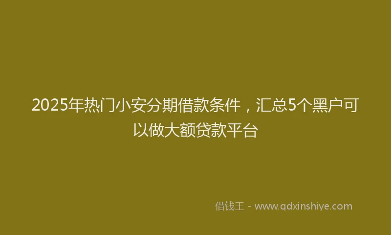 2025年热门小安分期借款条件，汇总5个黑户可以做大额贷款平台