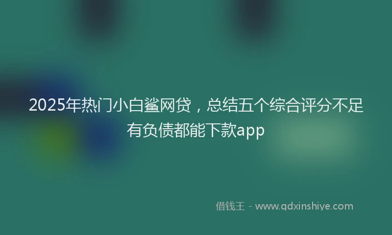 2025年热门小白鲨网贷，总结五个综合评分不足有负债都能下款app